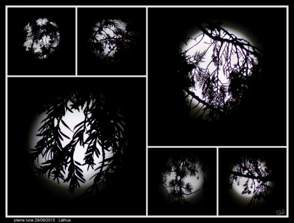 lune dentelle