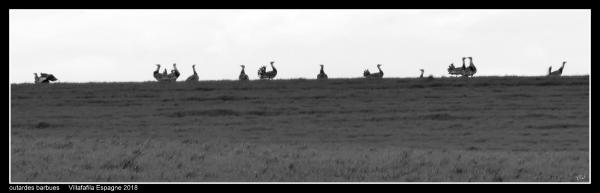 outardes02