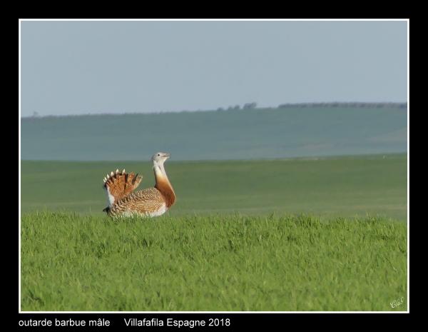outardes03