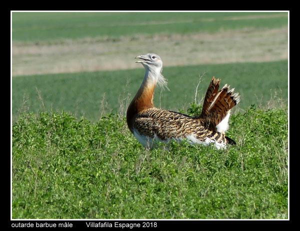 outardes04