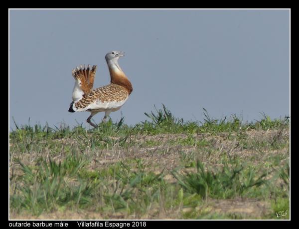 outardes05