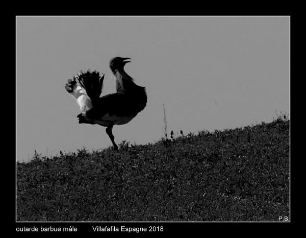outardes06