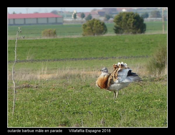 outardes08