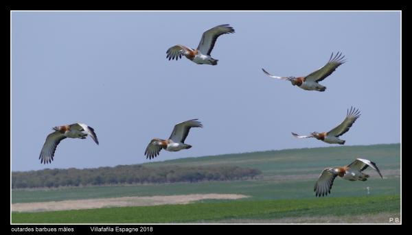 outardes11