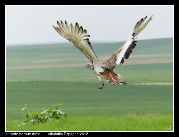 outardes12