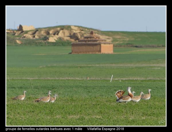 outardes14