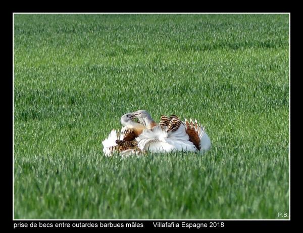 outardes24