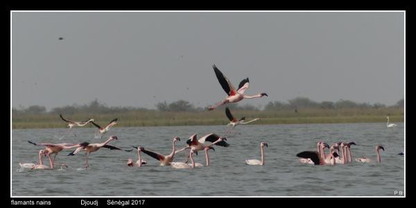 P1080761