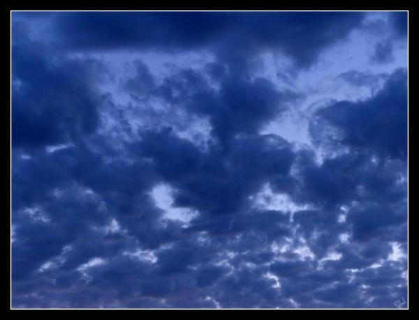 P1150203 (2)