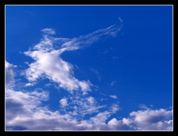 P1160685