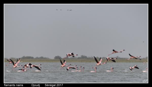 P1600453